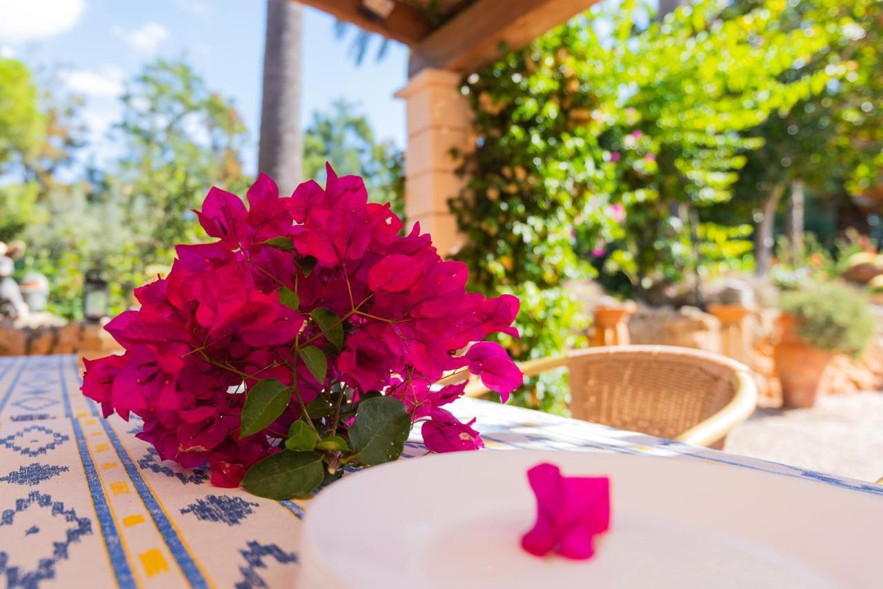 Sitjoles Hébergement de vacances