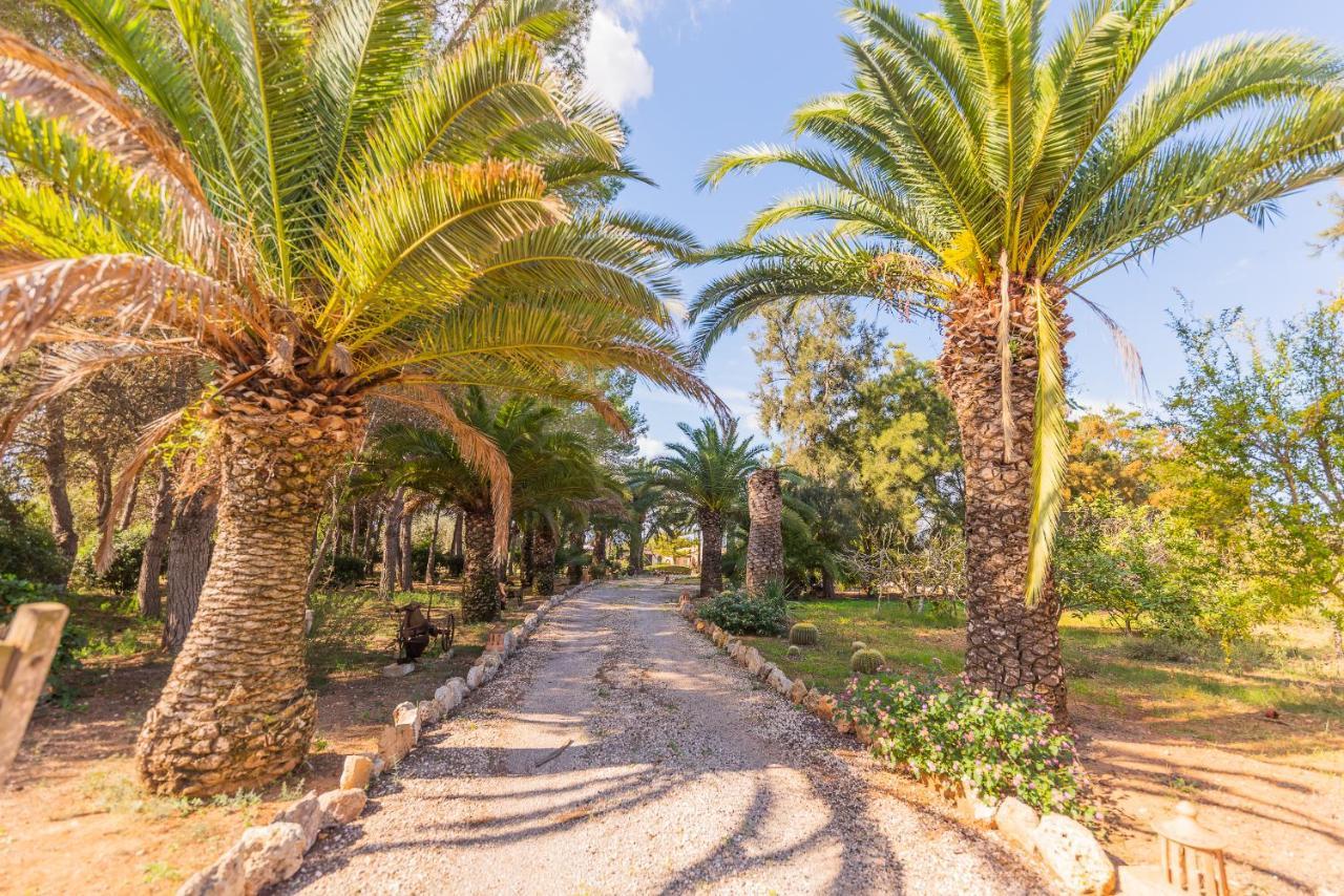 Sitjoles Holiday home Campos (Mallorca)